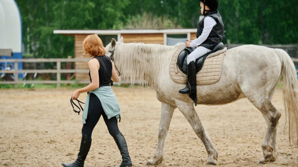devenir moniteur d’équitation indépendant
