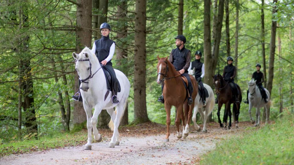 moniteur d’équitation indépendant