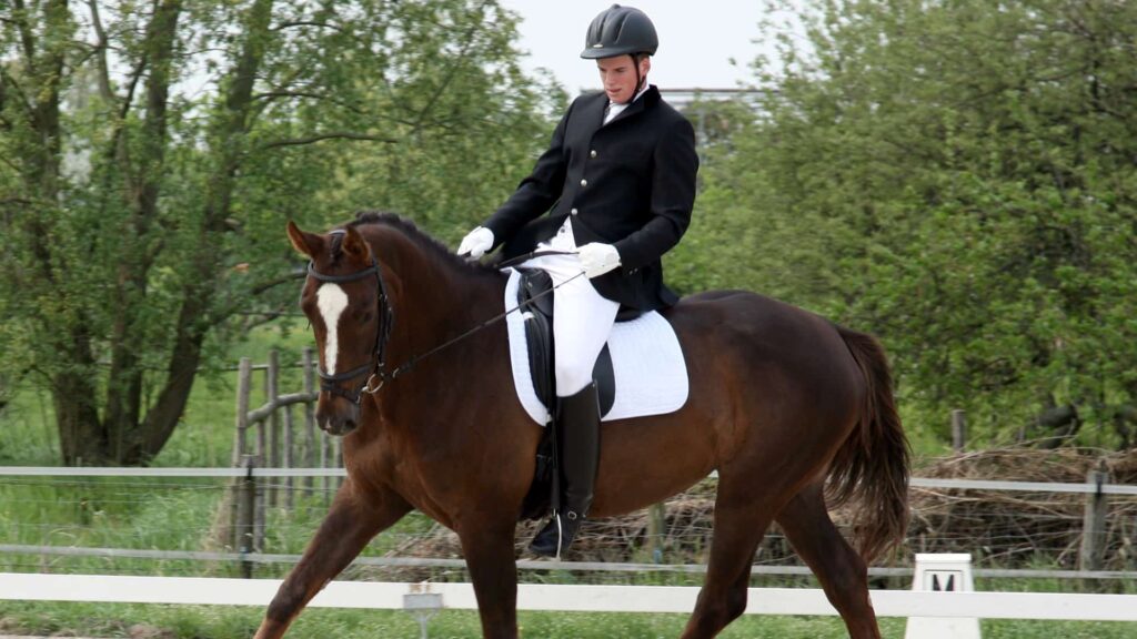 moniteur d’équitation indépendant auto-entreprenuer